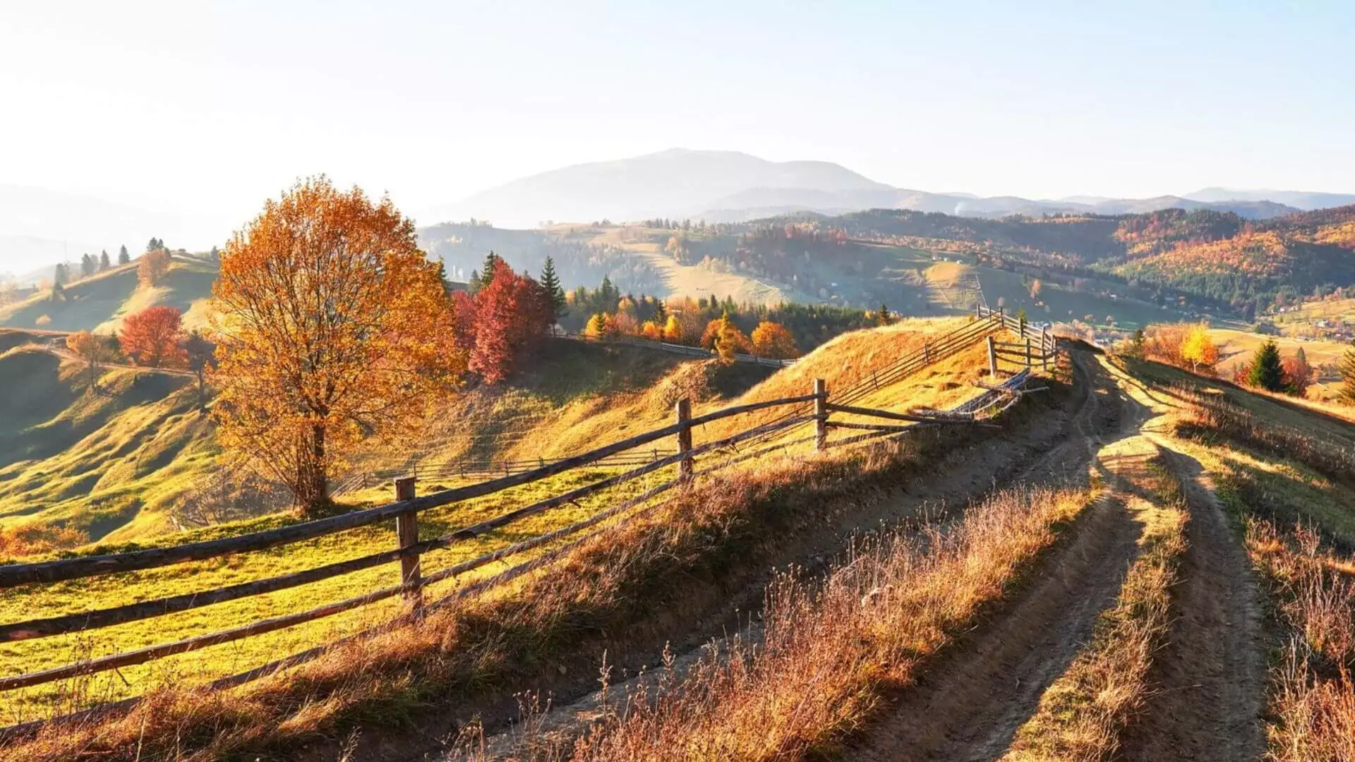 Bieszczady jesienią – malownicza Bieszczadzka jesień