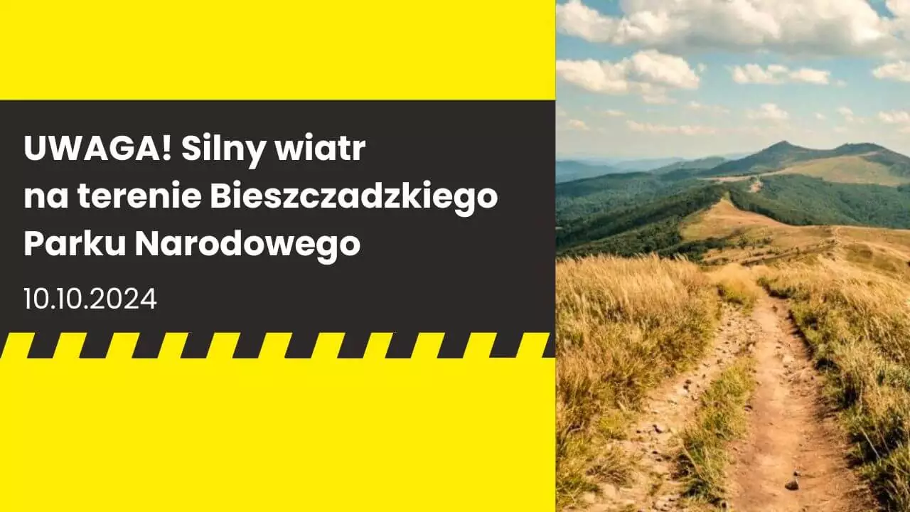 Uwaga, silny wiatr w Bieszczadzkim Parku Narodowym!