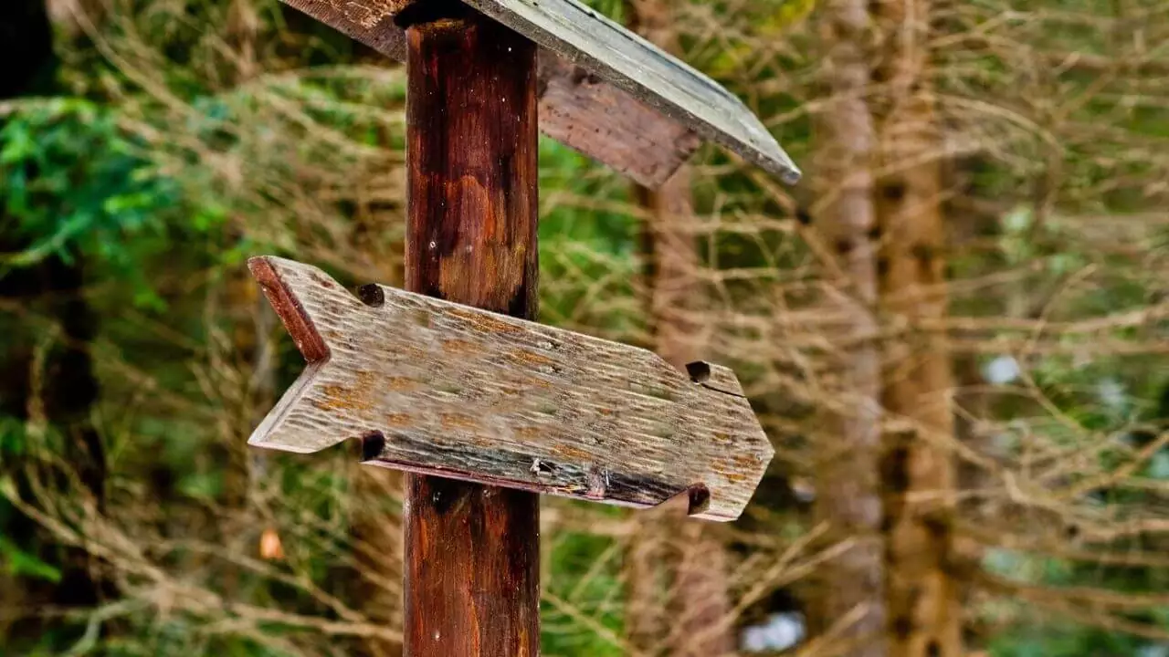 Uwaga Bieszczady! Czasowe zamknięcie szlaków turystycznych