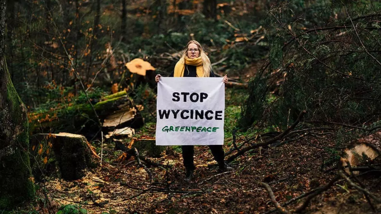 Międzynarodowy Park Karpat – największy park narodowy w EU ma objąć Polskę